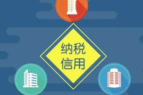企業(yè)納稅信用評(píng)級(jí) 構(gòu)建穩(wěn)健信用的戰(zhàn)略咨詢服務(wù)
